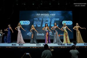 FIT-MODEL +164 ( 2 раунд )